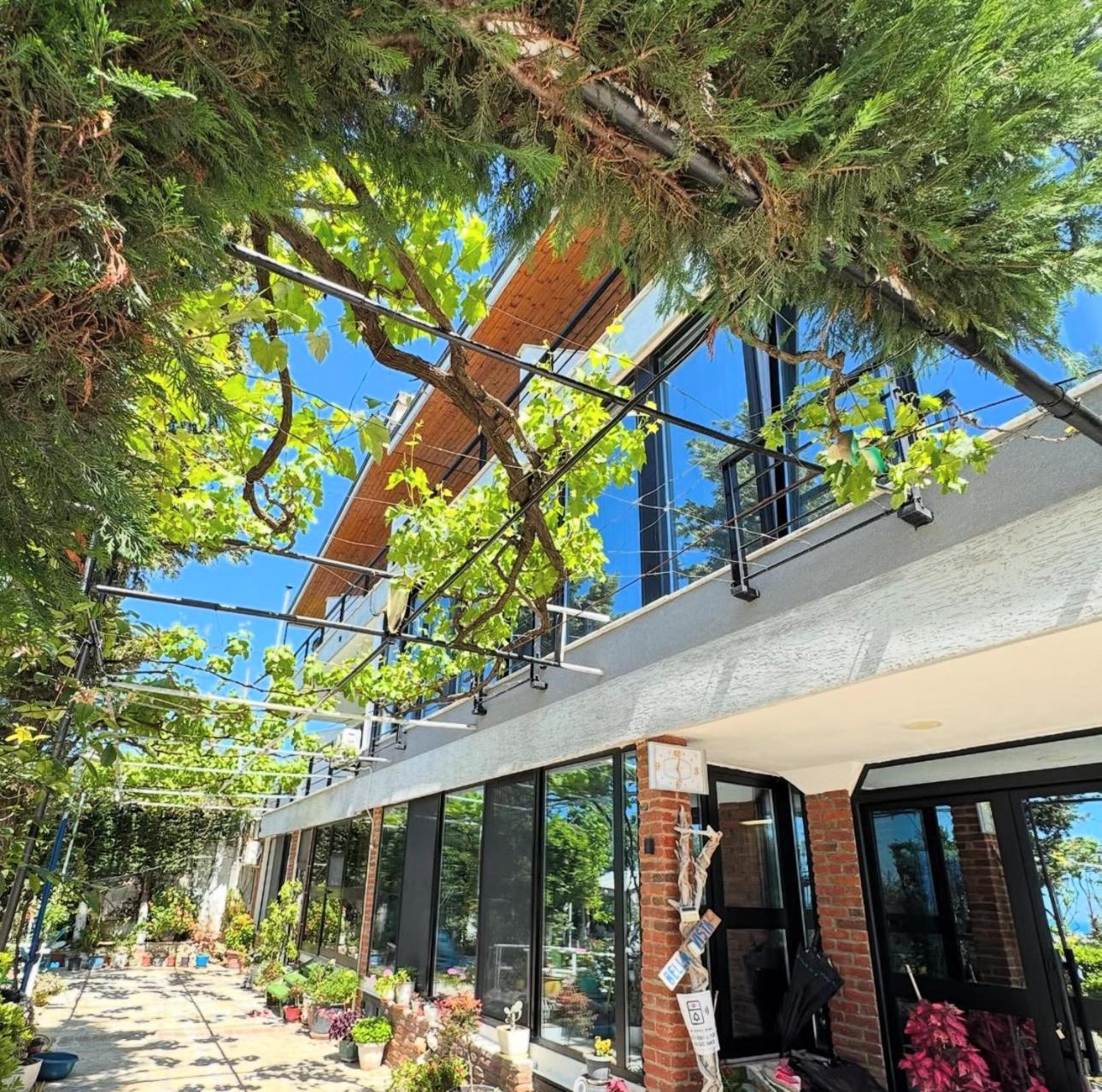 Bellavista Villa Durres Bagian luar foto